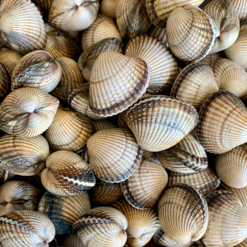 402309DF-0F31-4588-98EF-4719155DED65.png