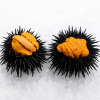 23c7df36-747d-472e-85f5-1caa01628b39.png