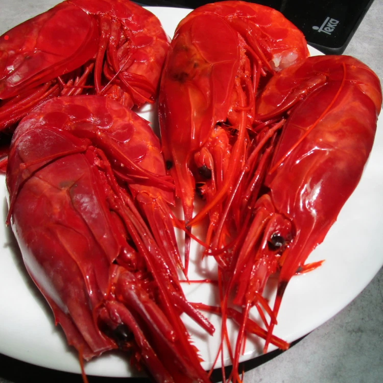 carabineros shrimps
