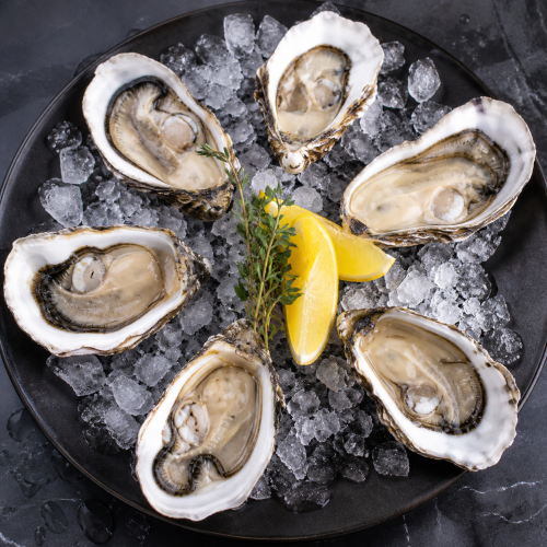 Assortment of 6 oysters