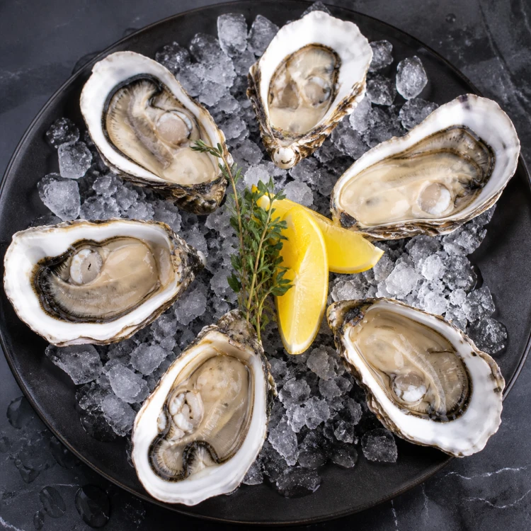 Assortment of 6 oysters
