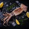 fresh squid