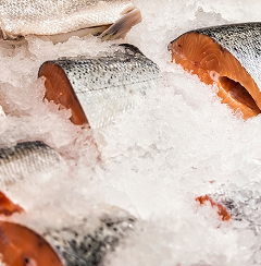 Frozen fish