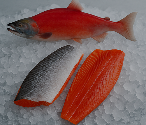 Alaskan wild salmon fillet
